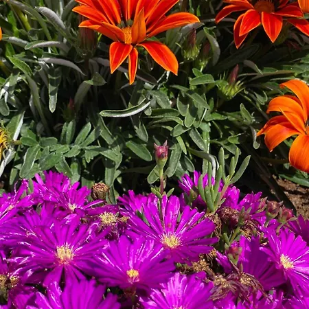 Casa Do Rei Aroeira Casa de Férias *