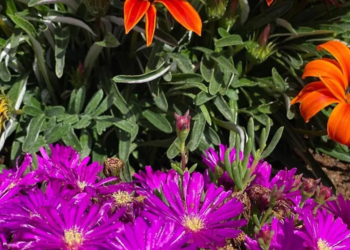 Casa Do Rei Aroeira 度假居 *